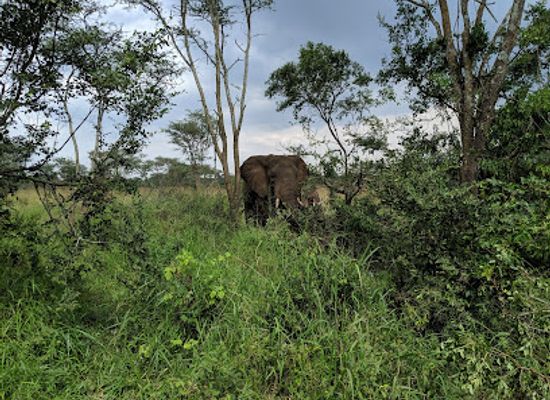 rwanda/akagera-national-park/landmark/akagera-national-park-north-gate-exit-only
