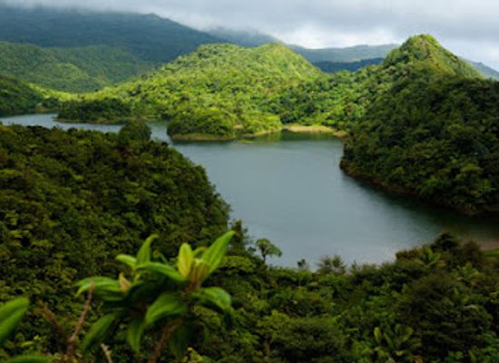 dominica/saint-david/landmark/freshwater-lake