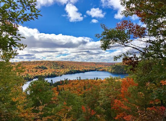 canada/haliburton-highlands/landmark/haliburton-forest-wild-life-reserve-ltd