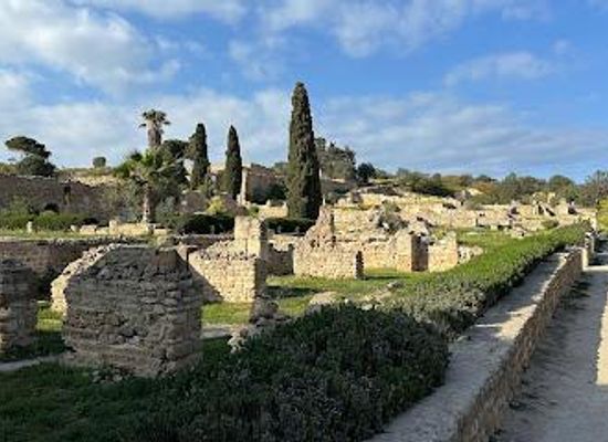 tunisia/the-cap-bon-peninsula/landmark/the-roman-villas-district