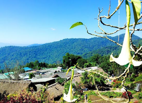 thailand/doi-suthep-pui-national-park/landmark/hmong-doi-pui-village