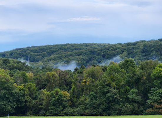 delaware/wilmington/landmark/brandywine-creek-state-park