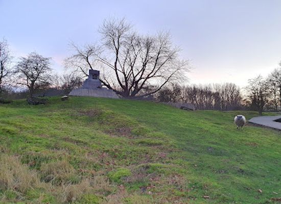 belgium/ypres/landmark/mine-attack-1917-hill-60-hill-60-a