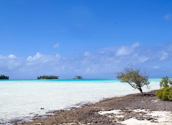 french-polynesia/rangiroa/landmark/rangiroa-activities