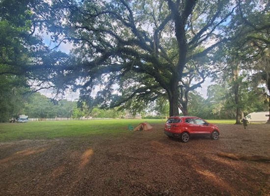 louisiana/pearl-river-wildlife-management-area/landmark/wma-pearl-river-wma-camp-grounds