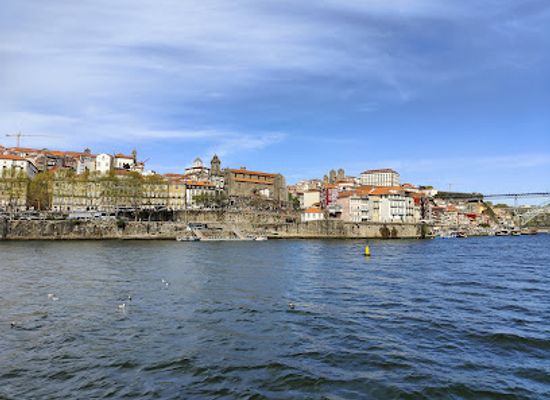 portugal/douro/landmark/cruzeiros-no-douro