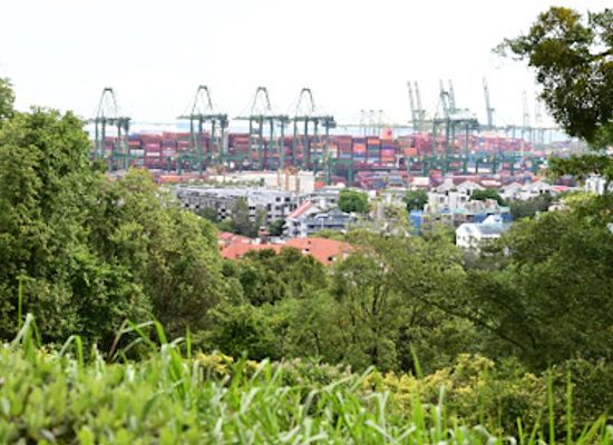 singapore/west-region/landmark/kent-ridge-park