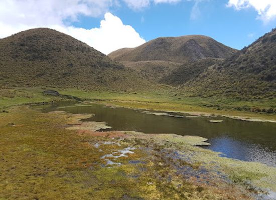 ecuador/zamora-chinchipe-region/landmark/parque-nacional-cotopaxi