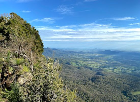 australia/far-north-queensland/landmark/main-range-national-park