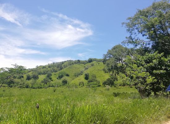 colombia/sucre-department/landmark/santuario-de-flora-y-fauna-los-colorados