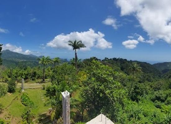 dominica/saint-george/landmark/symes-zee-villa