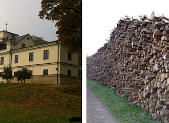 sweden/gotaland/landmark/dagsnas-castle