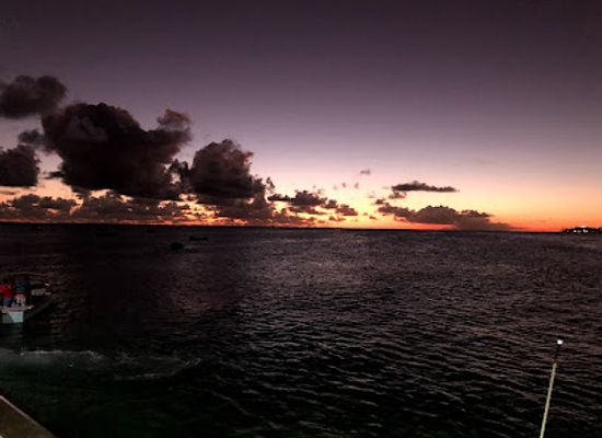 barbados/oistins/landmark/pat-s-place