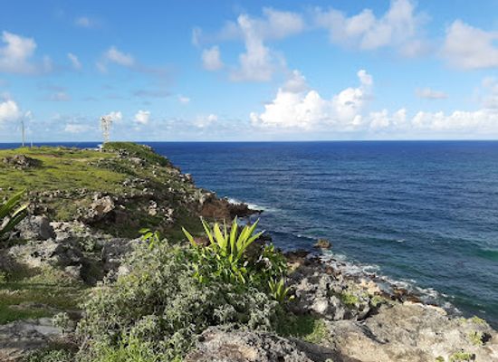 barbados/animal-flower-cave/landmark/ragged-point