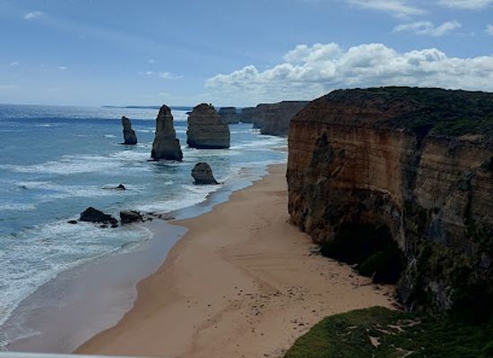 australia/great-ocean-road/landmark/maits-rest-rainforest-walk