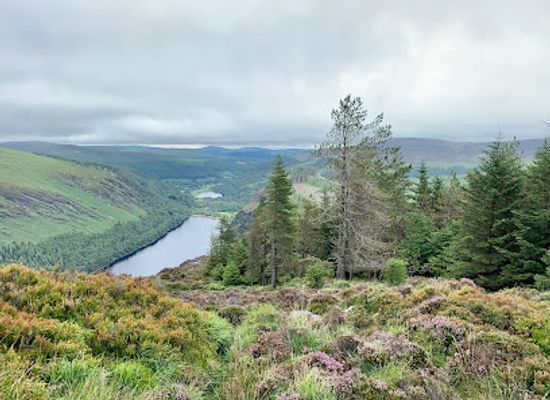 ireland/glendalough/landmark/st-kevin-s-bed