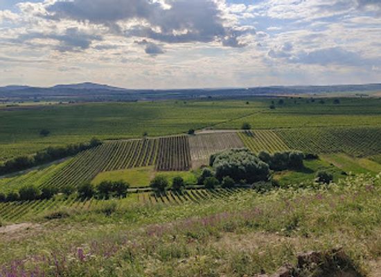 czechia/south-moravia/landmark/hradistek