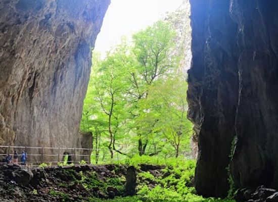 slovenia/skocjan-caves/landmark/skjocjan-cave