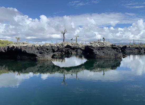 ecuador/galapagos-islands/landmark/galapagos-best-option