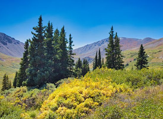 colorado/southern-colorado/landmark/argentine-pass