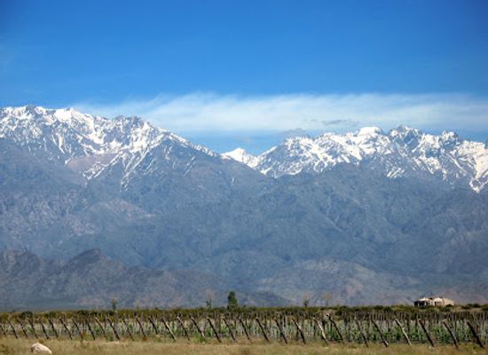 argentina/mendoza/landmark/ampora-wine-tours