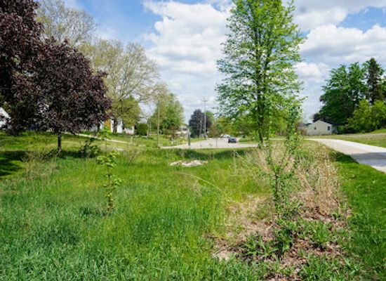 michigan/grand-rapids/west-side-connection/landmark/tremont-green-space-park