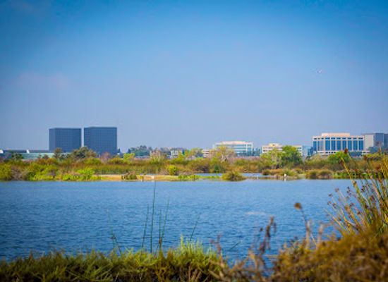 california/irvine/landmark/irwd-san-joaquin-marsh-wildlife-sanctuary
