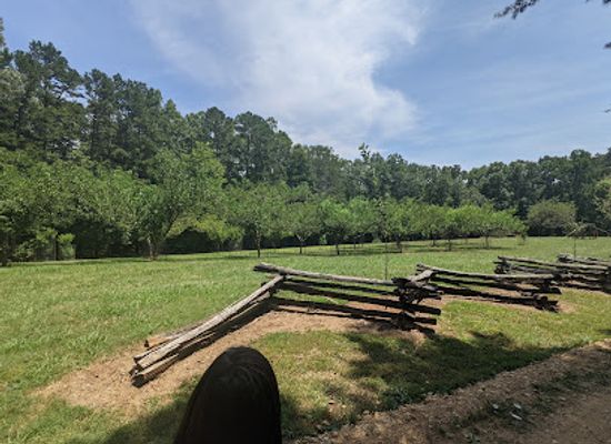 north-carolina/high-country/landmark/horne-creek-living-historical-farm