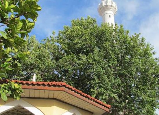 greece/rhodes/landmark/ibrahim-pasha-mosque