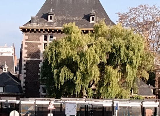 belgium/liege/cointe/landmark/tour-rosen