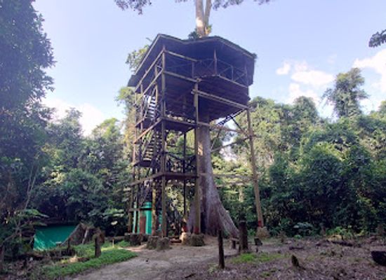 ghana/aburi/landmark/kakum-national-park