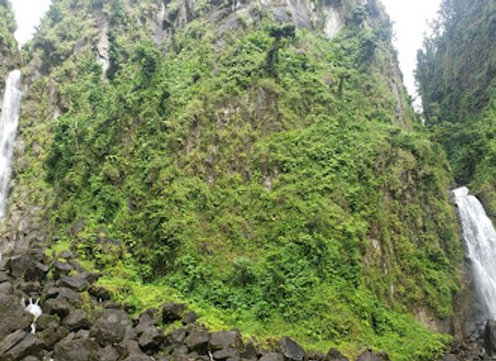 dominica/castle-bruce-beach/landmark/papillote-tropical-gardens