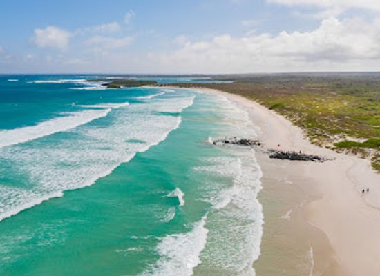 ecuador/pacific-coast/landmark/tortuga-bay-beach
