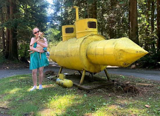 washington/mount-rainier-area/landmark/the-hobart-yellow-submarine
