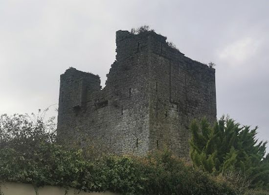 ireland/county-carlow/landmark/the-black-castle