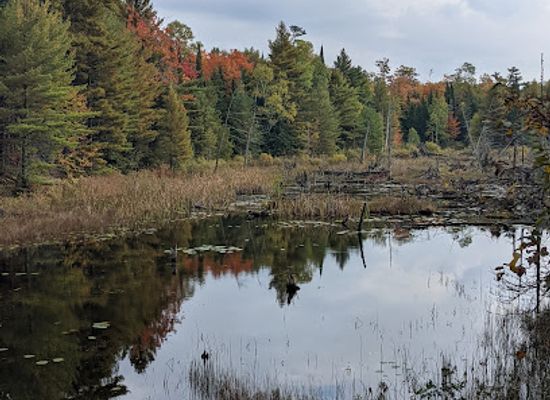 michigan/copper-harbor/landmark/estivant-pines-wilderness-nature-sanctuary