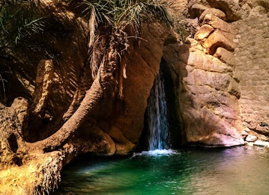 tunisia/tamerza/landmark/chebika-oasis