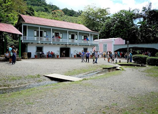 puerto-rico/greater-antilles/landmark/hacienda-buena-vista-para-la-naturaleza