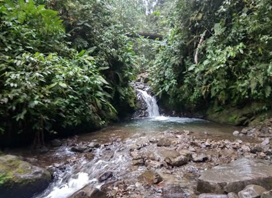 ecuador/mindo-cloud-forest/landmark/cascadas-de-nambillo
