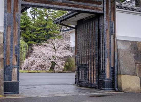 japan/tokyo/landmark/sakurada-mon