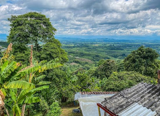 colombia/pereira/landmark/la-divisa-de-don-juan-coffee-tour