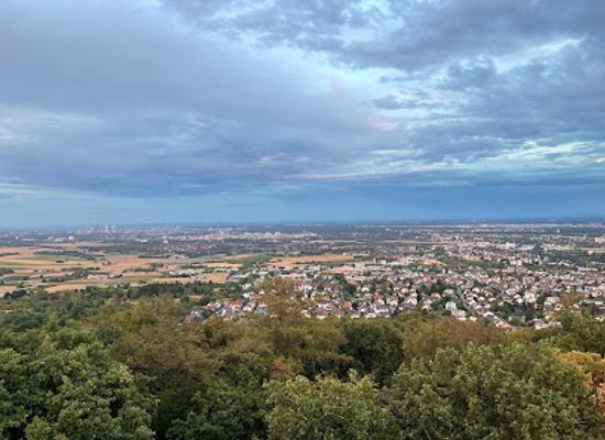germany/taunus/landmark/meisterturm
