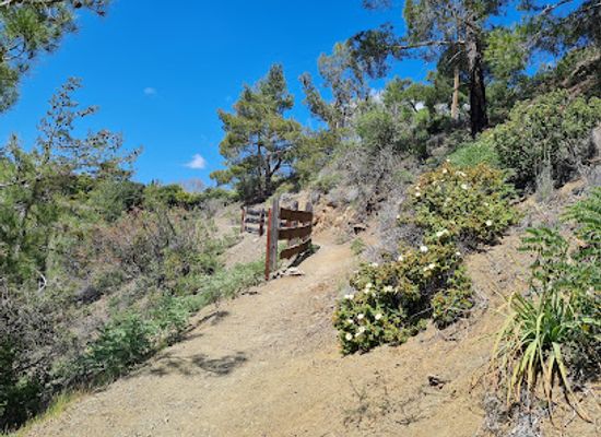 cyprus/machairas-mountains/landmark/millomeris-waterfall-trail