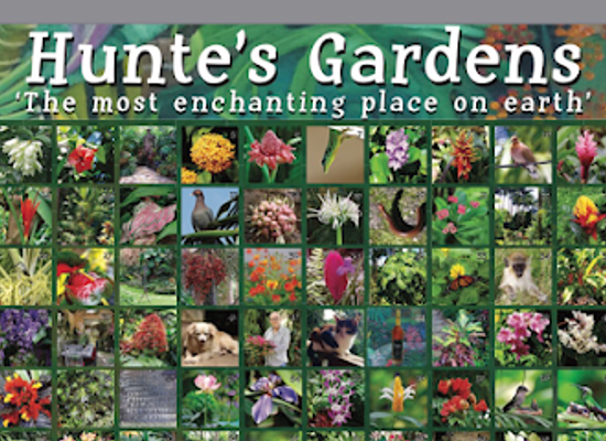 barbados/saint-thomas/landmark/hunte-s-gardens