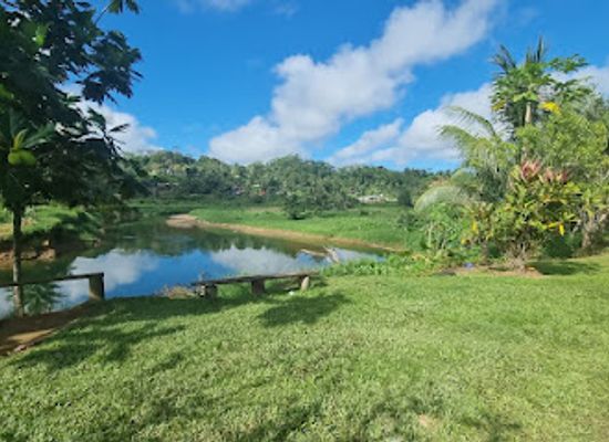 fiji/viti-levu/landmark/colo-i-suva-forest-park