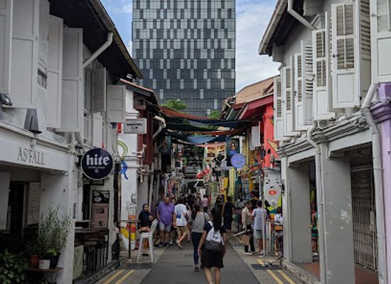 singapore/bugis/landmark/elephant-parade-haji-lane