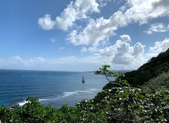 jamaica/north-coast/landmark/mystic-mountain