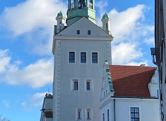 poland/szczecin/landmark/monument-of-boguslaw-x-and-anna-jagiellon