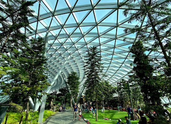 singapore/changi/landmark/canopy-park-jewel-changi