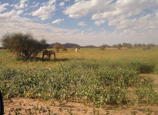 mauritania/adrar/landmark/adrar-plateau